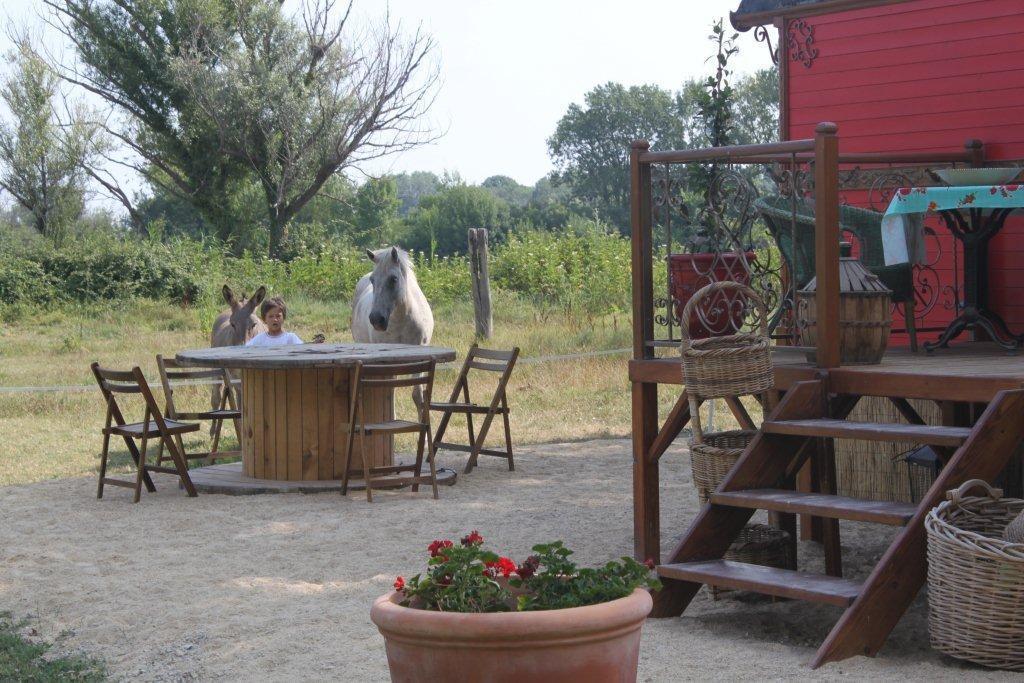 La Roulotte "Les Saintes" Bed and Breakfast Εξωτερικό φωτογραφία